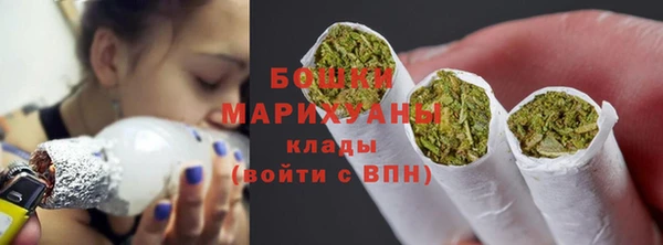 мдпв Бородино