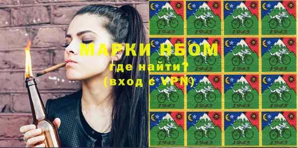 мдпв Бородино