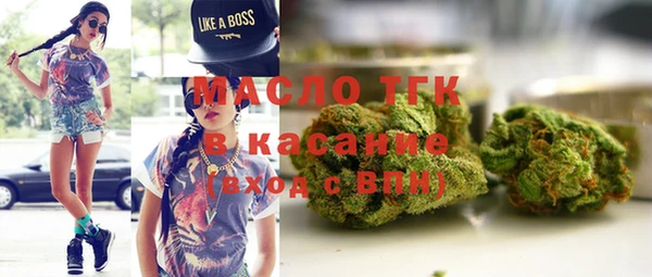 мдпв Бородино