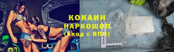 мдпв Бородино