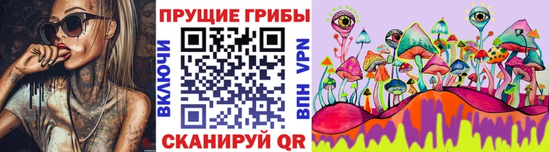 Псилоцибиновые грибы Psilocybe  даркнет сайт  площадка наркотические препараты  Горнозаводск  OMG ссылки 